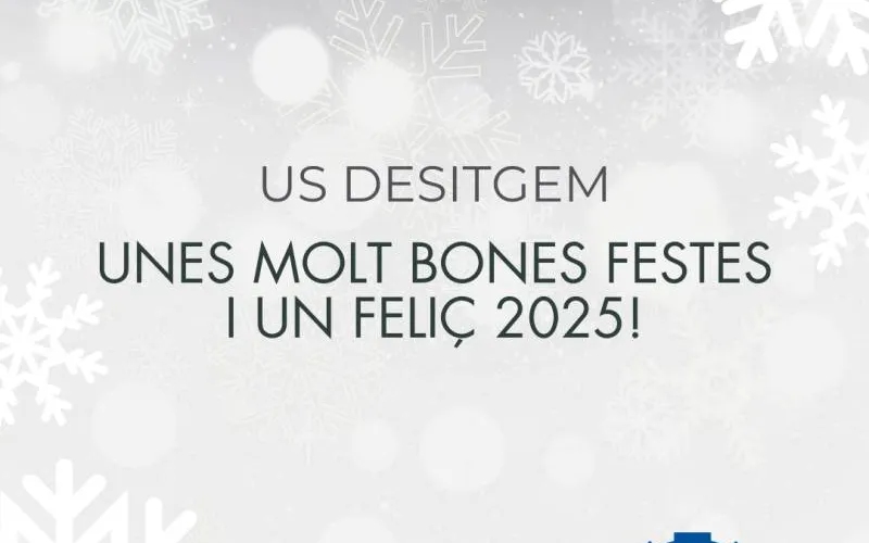 Bones Festes i feliç any 2025! 